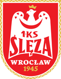 弗羅茨瓦夫女籃首發陣容
